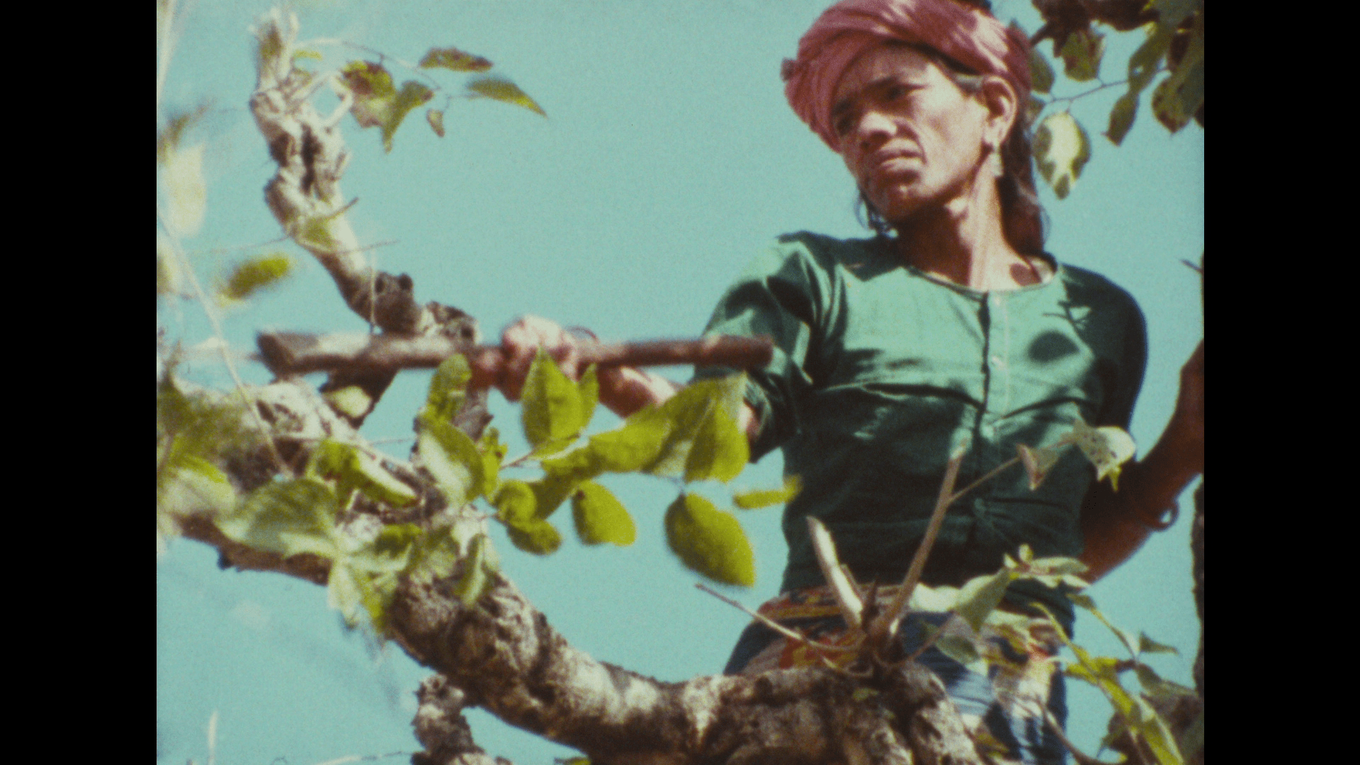 A still from Sudesha.