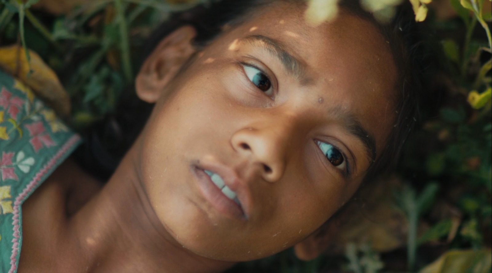 Aranya Sahay Humans in the Loop