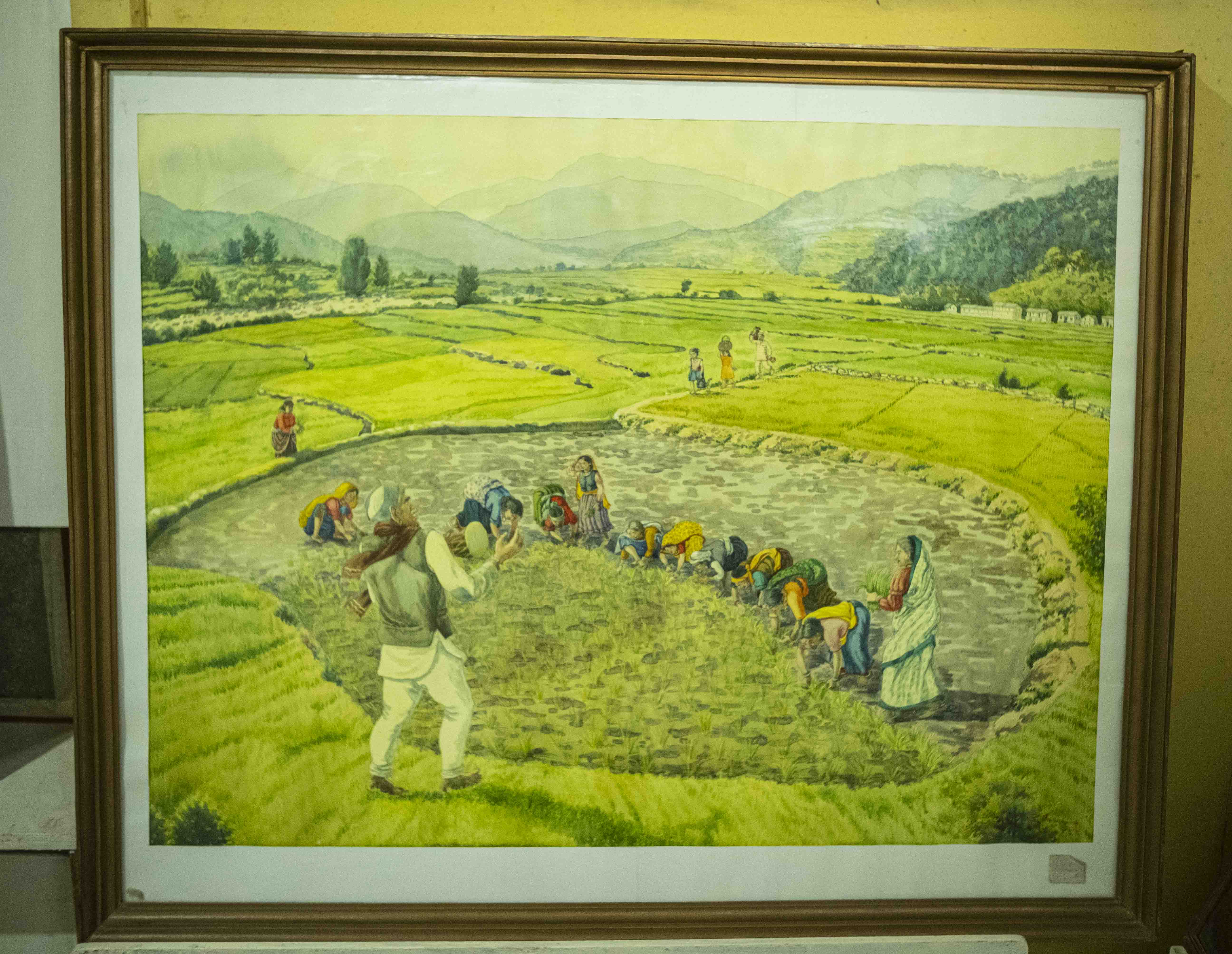 uttarakhand migration